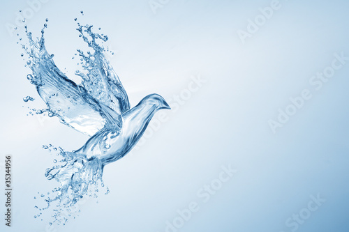 Птичка планеты земля вода загрузить