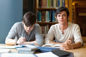 Handsome students reviewing their notes