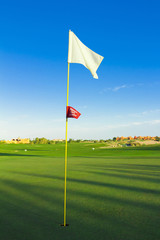 Golf Flag Spread On The Wind