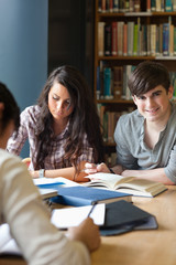 Portrait of students preparing an assignment