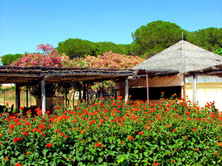 Fototapeta premium mediterranean spanish landscape