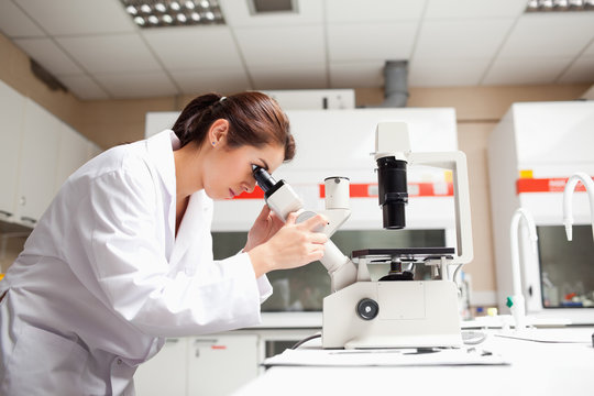 Female scientist looking in a microscope