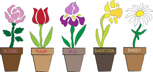 different kinds of flowers in pots