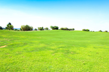 Golf Club Landscape