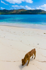 Resort Wallpaper Landscape