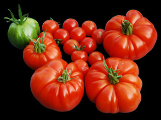 Tomaten, rot und grün