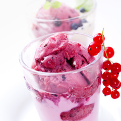 Blueberry sorbet with red currant