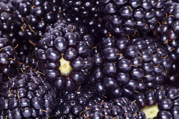 blackberry