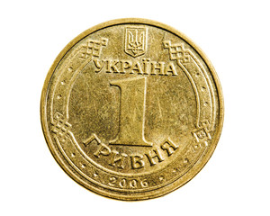 The Ukrainian money