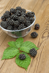 blackberries in bowl