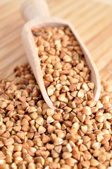 Buckwheat Kasha