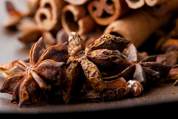 Star aniseed and cinnamon sticks