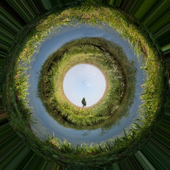 a tree in the universe