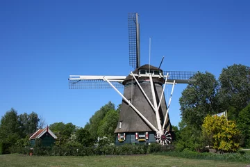 Fotobehang windmühle in amsterdam © Ellie Nator