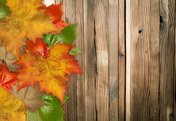 Naklejka na ściany i meble Autumn leaves over wood background with copy space