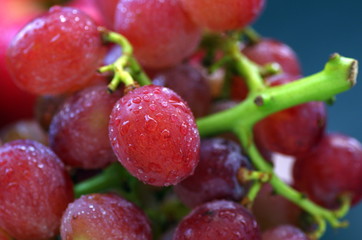 ブドウクローズアップ