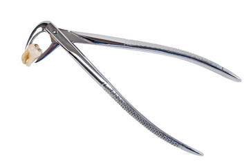 Dental extraction forceps and tooth