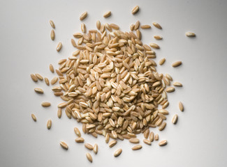 wheat grains