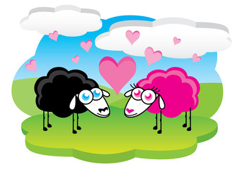 Sheep in love