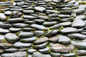 Green garden - grass and stone way