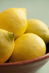 Lemons in a bowl