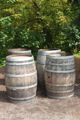 Fototapeta premium Old wine barrels