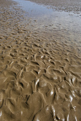 Abstract Background Texture of Wet Sand on a Beach