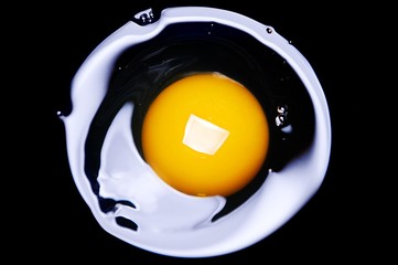 Egg yolk