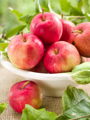 apples
