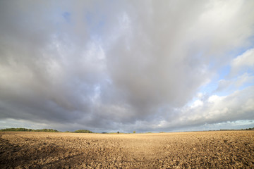 Fototapeta premium Field.