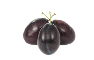 .plum