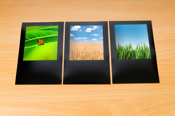 Nature photos in picture frames