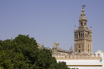 Giralda campanile della cattedrale, Siviglia