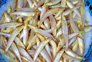 Xiamen street market whiting