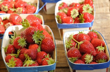 barquettes de fraises