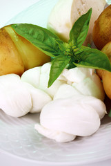 TRECCE DI MOZZARELLA