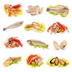 shellfish and fish