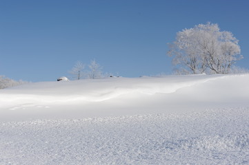 White winter landscape in Hokkaido, Japan