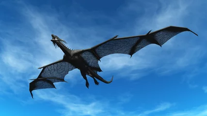 Photo sur Plexiglas Dragons Dragon