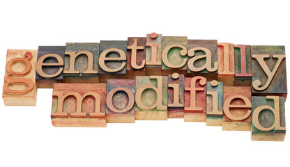 genetically modified in letterpress type