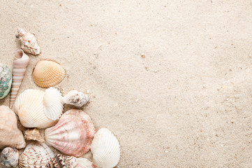 Beach with seashell and sand