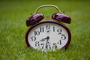 Clock on a grass