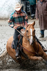 Obraz premium Cowboy in rodeo