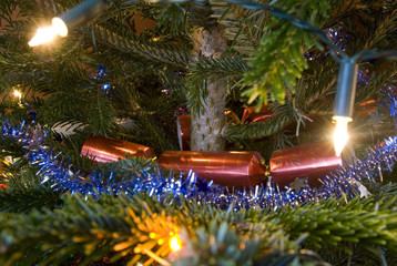 Christmas Tree Close up