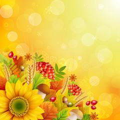 Autumn abstract background