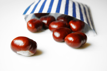 Kastanien Close up