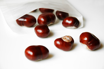 white Paper Bag and Chestnuts