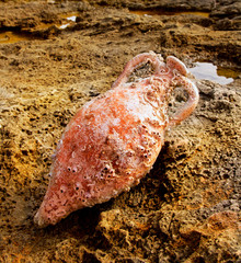 Amphora roman with marine fouling in Mediterranean
