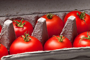 Tomaten in Eierkarton closeup 2