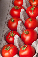 Tomaten im Eierkarton 8